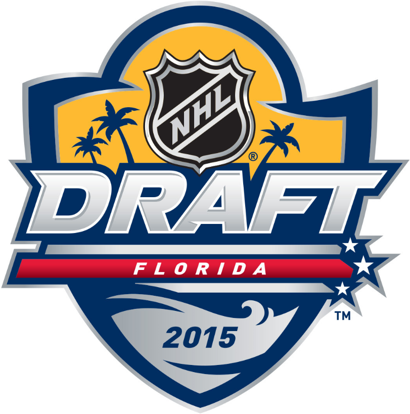 NHL Draft 2015 Primary Logo t shirts iron on transfers